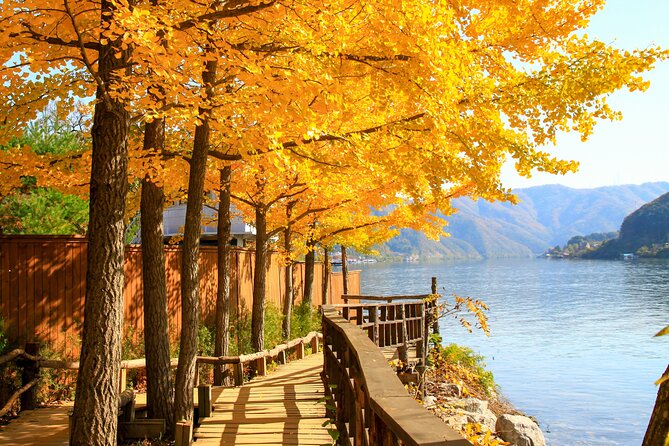 Nami Island and Begonia Bird Park Tour from Seoul (opt Railbike) - Making the most of Nami Island