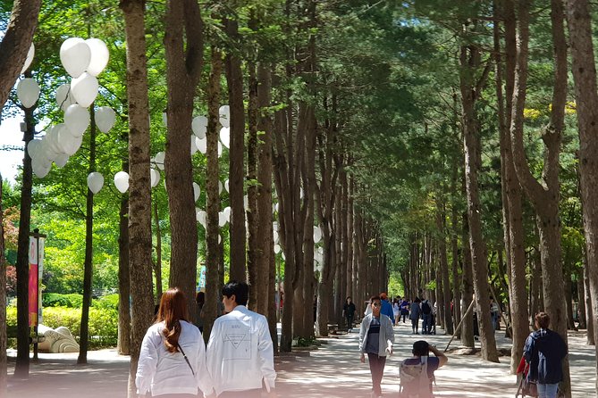 Nami Island and Petite France - Filming location - Why this day trip works from Seoul