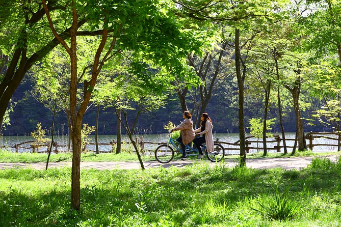 Nami Island and Petite France & Italian Village Day Trip from Seoul - Weather, seasons, and the winter adjustment