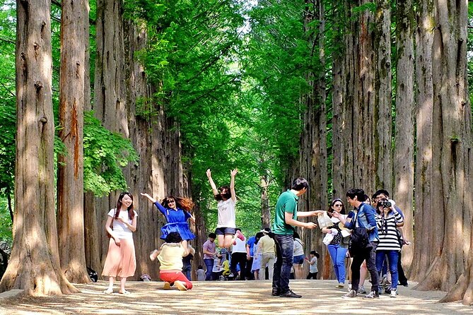 Nami Island, Cable Car, Garden of Morning Calm Panoramic Tour - The coach ride from Seoul