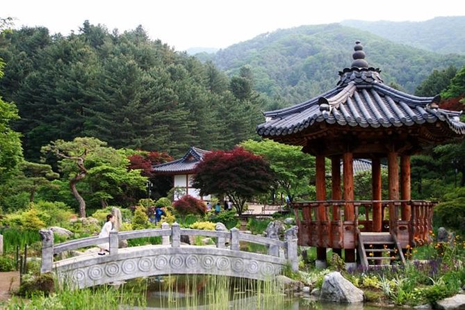 Nami Island, Cable Car, Garden of Morning Calm Panoramic Tour - The Korean ginseng center stop