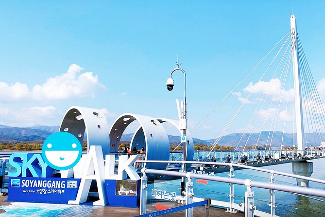 Nami Island, Cable Car, Garden of Morning Calm Panoramic Tour - Who gets the best value from this tour