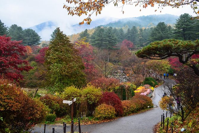 Nami Island from Seoul: Petit France and Garden of Morning Calm - Leaving Seoul for Nami Island