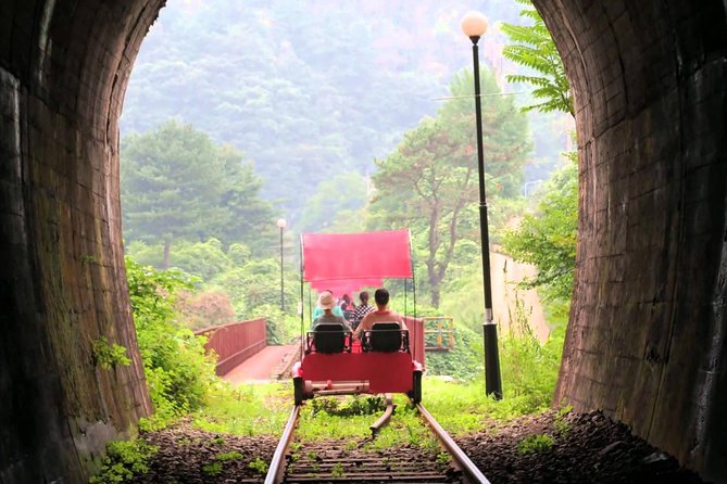 Nami Island & Garden of Morning Calm & Gangchon Railbike Tour - A full day beyond Seoul