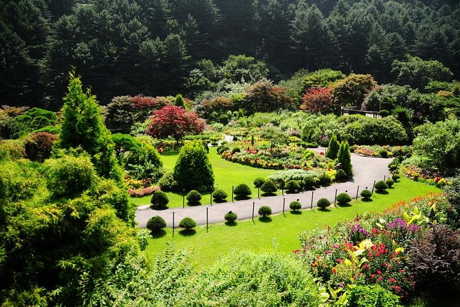 Nami Island & Garden of Morning Calm & Gangchon Railbike Tour - Lunch is flexible, but not included