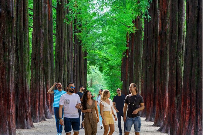 Nami Island & Garden of Morning Calm & Gangchon Railbike Tour - Gangchon Railbike: a playful start with a few ordinary stretches