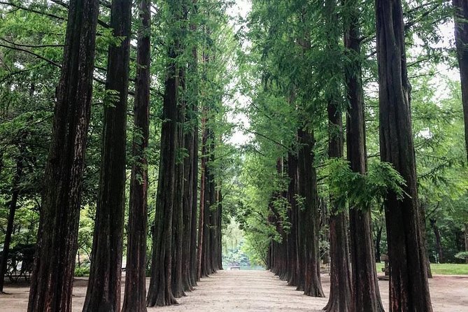 Nami Island & Nearby Attractions : Charter Van Tour With Driver - Gangchon Rail Park adds the day’s main activity