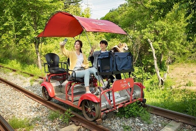 Nami Island & Petite France & Italian Village & Gangchon Rail Bike One-Day Tour - Time, traffic, and the size of the group