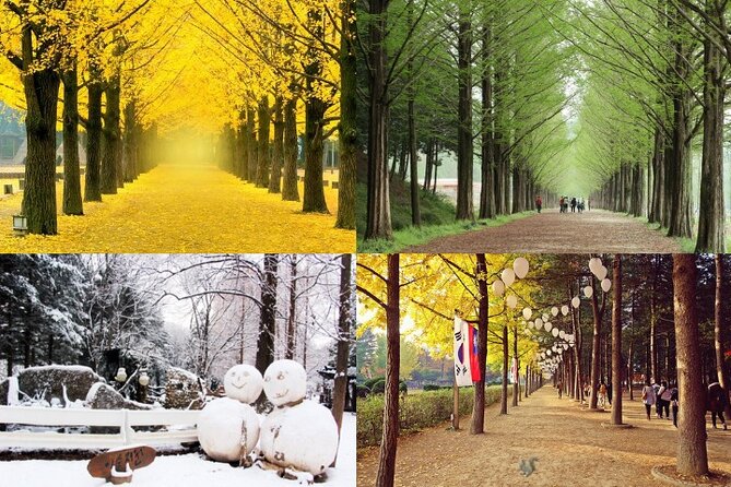 Nami Island & Petite France with Italian Village One-Day Tour - Why this day trip works as a break from Seoul