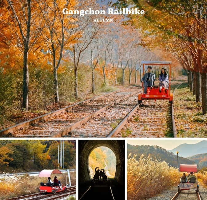 Nami Island, Railbike & Alpaca Garden Day Trip from Seoul - Why this day trip works well from Seoul