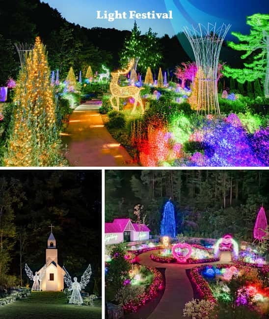 Nami Island, Railbike & Alpaca Garden Day Trip from Seoul - Adding the Autumn Light Festival after dark