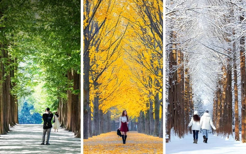 Nami Island, Railbike & Alpaca Garden Day Trip from Seoul - How the day feels as a complete itinerary