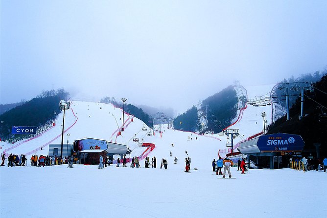 Nami Island + Ski Tour - Why this Seoul winter pairing works