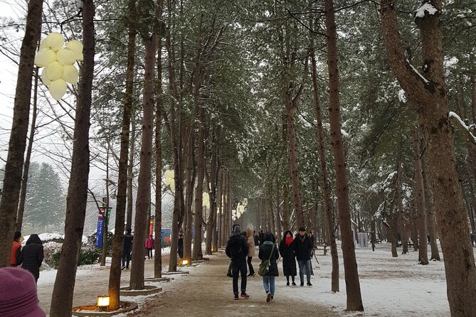 Nami Island + Ski Tour - Clothing, equipment, and useful preparation