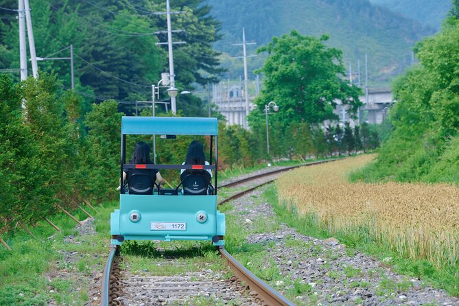 Nami Island Trip with Petite France & Italian Village and Gangchon Rail Bike - Pedaling the old railway at Gangchon