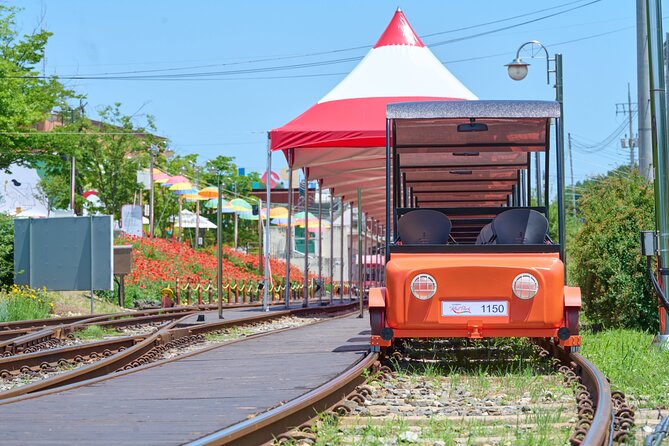 Nami Island Trip with Petite France & Italian Village and Gangchon Rail Bike - The guide can shape the day