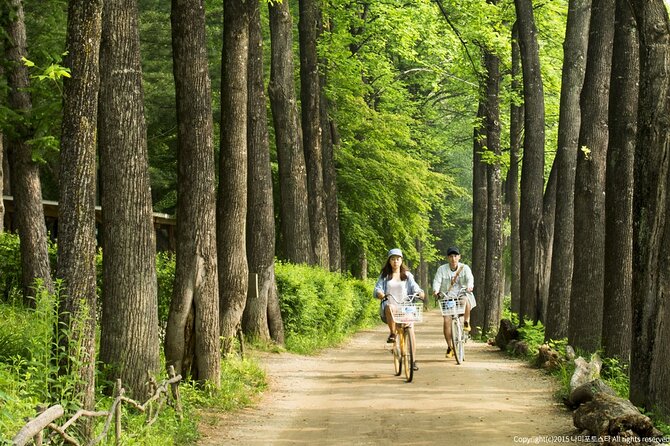 Nami Island Trip with Petite France & Italian Village and Gangchon Rail Bike - Who should book this day tour?