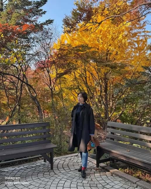 Nami & Maple Road & Theatre des Lumieres Day Tour from Seoul - Who will get the most from this experience
