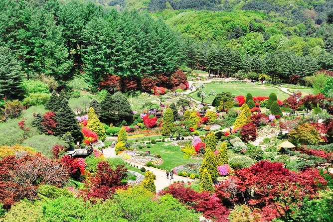 One Day Private Tour-Nami, Petite and Garden of Morning Calm - Three very different stops beyond Seoul