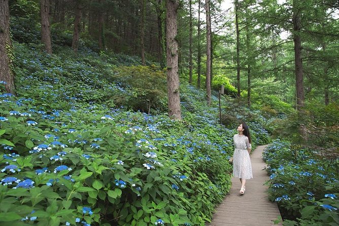 One Day Private Tour-Nami, Petite and Garden of Morning Calm - What the guide adds to the day