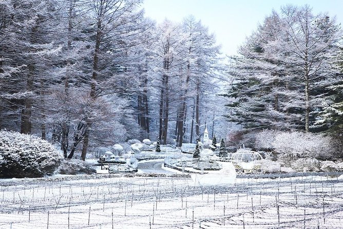 One Day Private Tour-Nami, Petite and Garden of Morning Calm - Who will enjoy this private day trip?