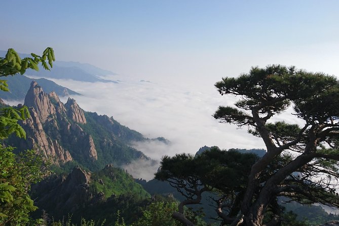 One-Day Tour for stunning Mt.Seoraksan from Seoul - Private transport makes the distance easier