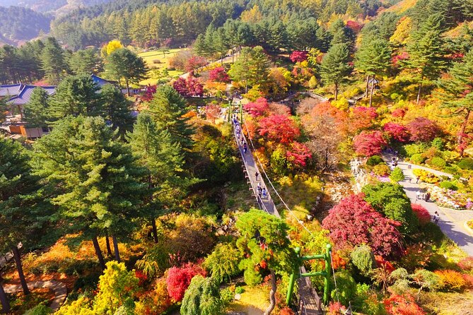 Pocheon Art Valley, Garden & Fruit Picking Day Tour from Seoul - Guides, group size, and the pace of the day