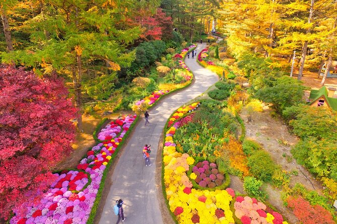 Pocheon Art Valley, Garden & Fruit Picking Day Tour from Seoul - What is included, and what you still pay for