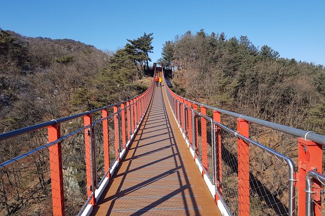 Premium Private DMZ Tour & (Suspension Bridge or N-Tower) include lunch - Why this private DMZ day works so well