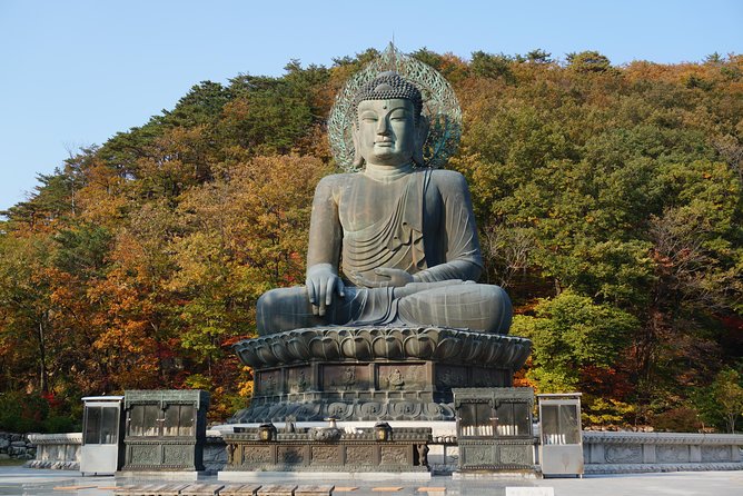 [Premium Private Tour] Mt Seorak & East Sea or Nami island from Seoul - Sinheungsa Temple and the first look at Seoraksan