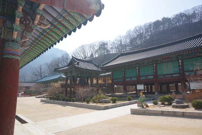 [Premium Private Tour] Mt Seorak & East Sea or Nami island from Seoul - Lunch in Sokcho and the taste of the coast