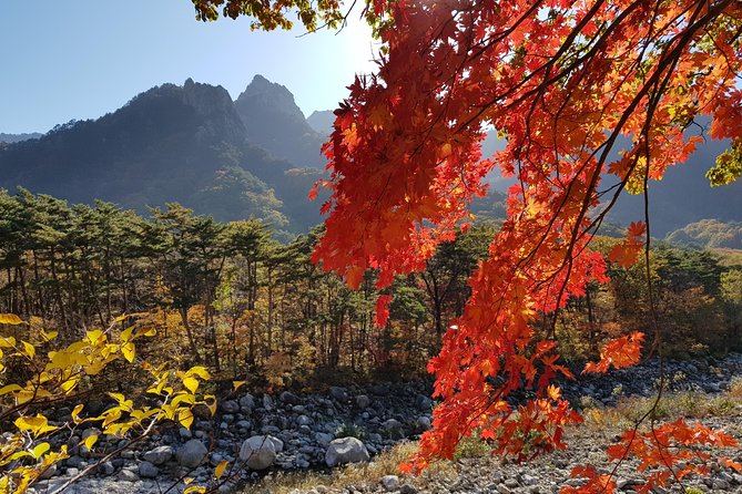 [Premium Private Tour] Mt Seorak & East Sea or Nami island from Seoul - Dongmyeong Port Lighthouse and the East Sea
