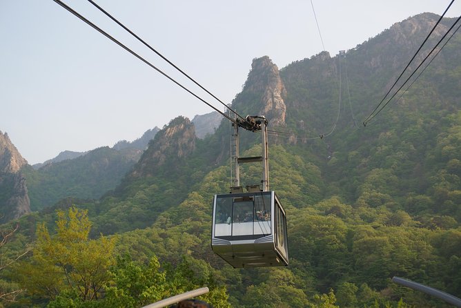 [Premium Private Tour] Mt Seorak & East Sea or Nami island from Seoul - Nami Island instead of the East Sea