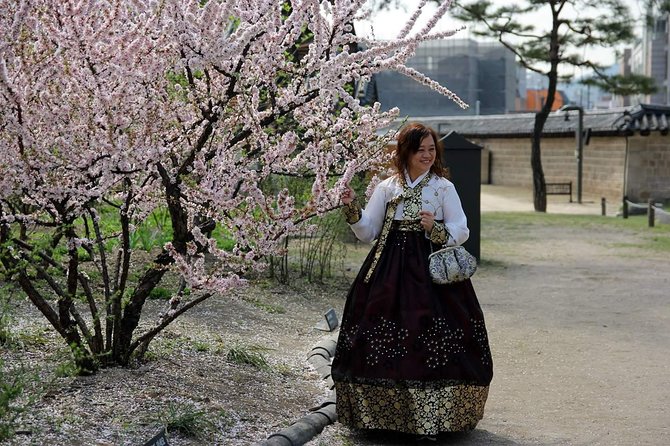 Private day tour Korea(Seoul trip) with Professional Photographer - Southern Seoul: folk village, fortress, and Everland area