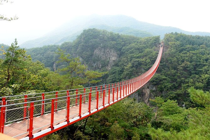 Private DMZ Tour (No Shopping): 3rd Tunnel & Suspension Bridge - Why this DMZ day feels different from a standard bus tour