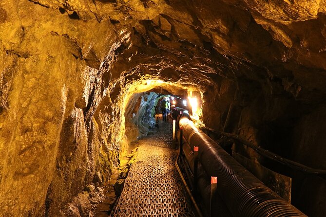 Private DMZ Tour (No Shopping): 3rd Tunnel & Suspension Bridge - Imjingak Park: monuments, memory, and the Freedom Bridge