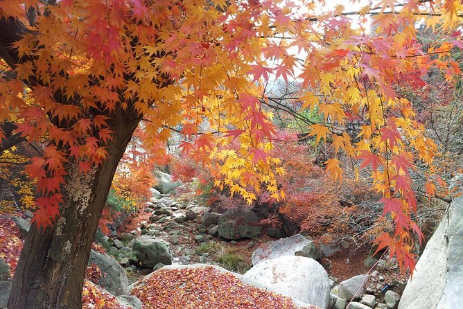 Private Hiking to Bukhansan & Korean Style Spa(Include Lunch) - Lunch near the mountain