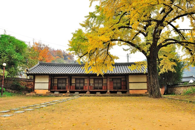 Private Jeonju Hanok Village - Culinary tour - Is $300 per person good value?