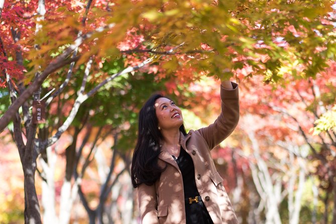 Private Nami Island Photo Shoot and Tour with a Photographer - Lunch, dakgalbi, and the real cost of the day