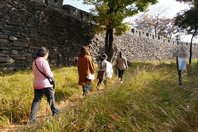Private Seoul Wall Trekking [Inwangsan, Bugaksan, Naksan Park, N-Seoul Tower] - Pace, fitness, weather, and what to bring