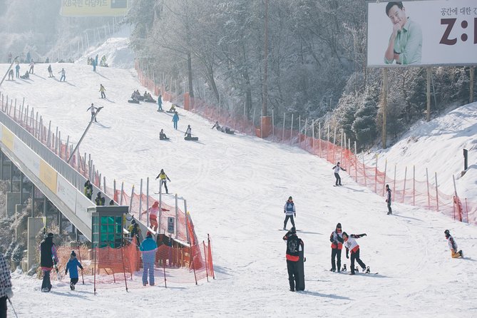 Private Ski Tour(Lesson) near Seoul at Elysian Gangchon Resort - Resort slopes, lifts, and snow conditions