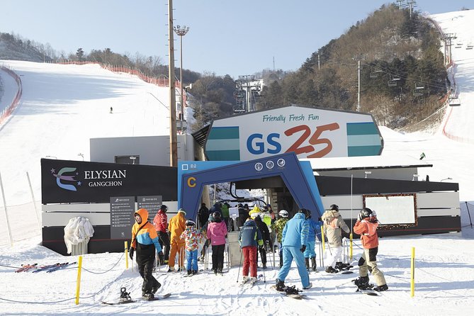 Private Ski Tour(Lesson) near Seoul at Elysian Gangchon Resort - Who should book this ski tour