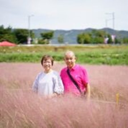 Private Tailor-made Seoul tour with Licensed Guide - Suwon Hwaseong and the Korean Folk Village