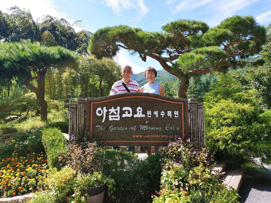 Private Tailor-made Seoul tour with Licensed Guide - Everland without the long public-transit haul