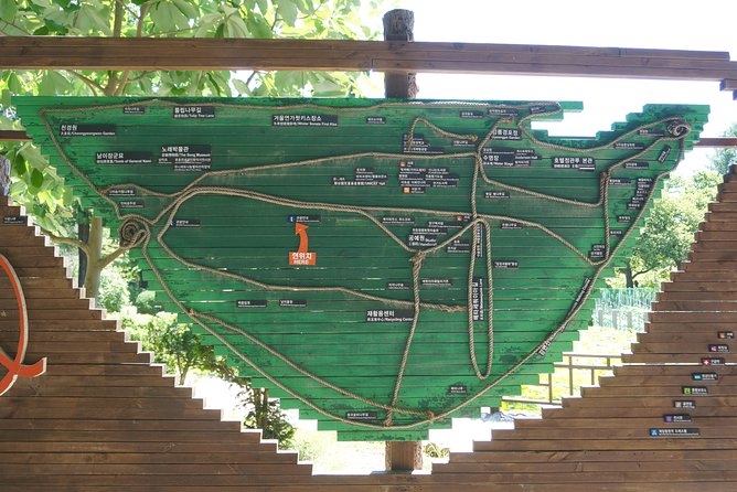 Private Tour: Nami Island& (Alpaca World 'or' Morning Calm)&Lunch - Choosing the Garden of Morning Calm