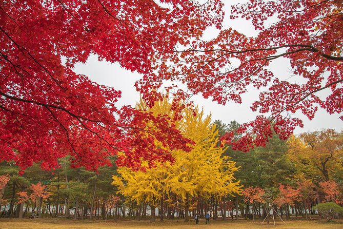 (Private tour) Nami Island + Railbike + Garden of morning calm - Why this private day trip works well from Seoul