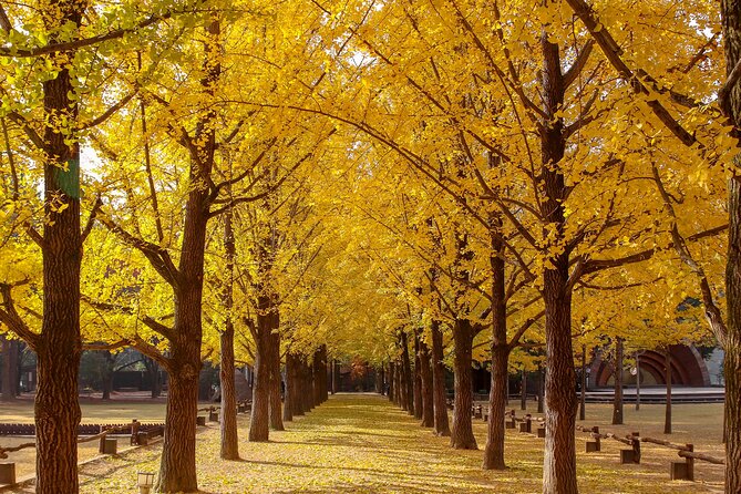(Private tour) Nami Island + Railbike + Garden of morning calm - The Garden of Morning Calm across three seasons