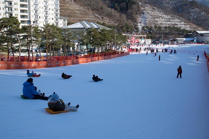[Private Tour] Nami Island & Snow Viewing and Snow sled (More Members Less Cost) - Why this private winter day trip works