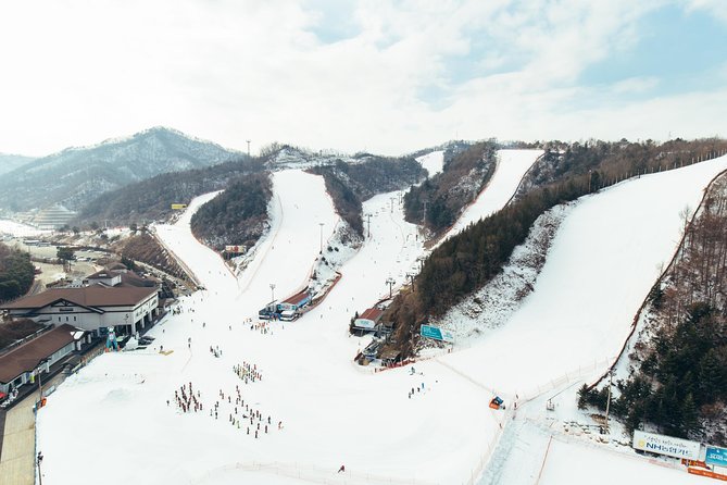 [Private Tour] Nami Island & Snow Viewing and Snow sled (More Members Less Cost) - Private transportation and the value of the price