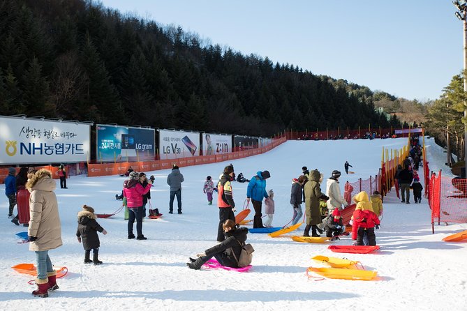 [Private Tour] Nami Island & Snow Viewing and Snow sled (More Members Less Cost) - The food question and what to pack